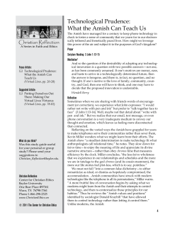 Technological Prudence: What the Amish Can