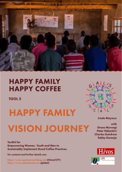 happy family vision journey