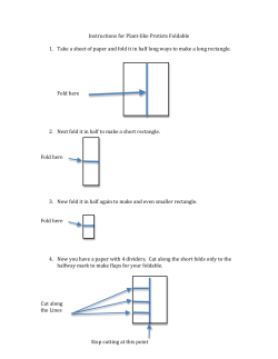 Instructions for Plant-like protists foldable