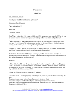 17 December Goldfish - Barnabas in Schools