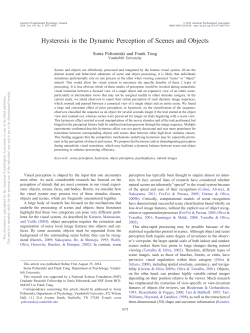 Hysteresis in the Dynamic Perception of Scenes and Objects
