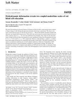 Hydrodynamic deformation reveals two coupled modes/time scales