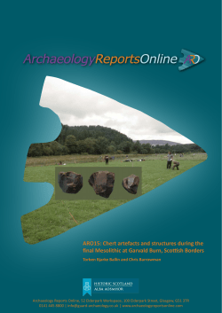 Chert artefacts and structures during the final Mesolithic at Garvald