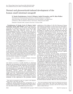 Normal and glucocorticoid-induced development of the human small