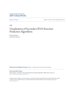 Visualization of Secondary RNA Structure Prediction Algorithms