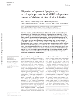 Migration of cytotoxic lymphocytes in cell cycle permits local MHC I