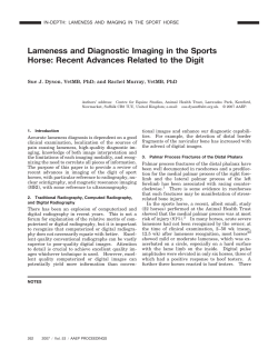 Lameness and Diagnostic Imaging in the Sports Horse