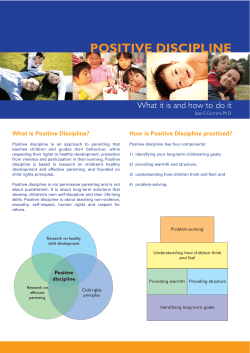 Positive Discipline Summary brochure