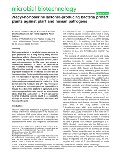 Nacylhomoserine lactonesproducing bacteria protect plants against