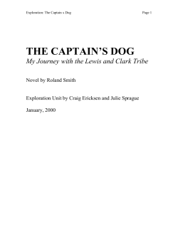 the captain s dog