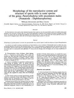 Morphology of the reproductive system and structure of