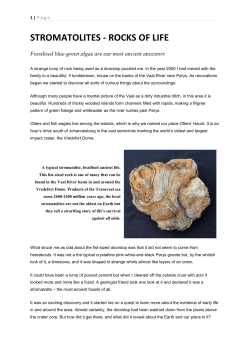 STROMATOLITES - ROCKS OF LIFE