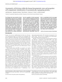 Asymmetric cell division within the human