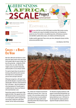 agribusiness africa