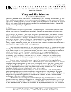 Vineyard Site Selection