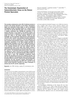 The Somatotopic Organization of