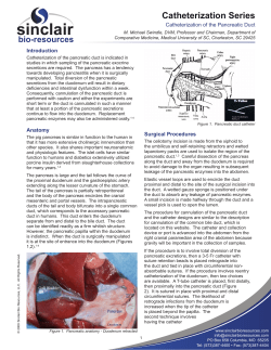 Catheterization of the Pancreatic Duct