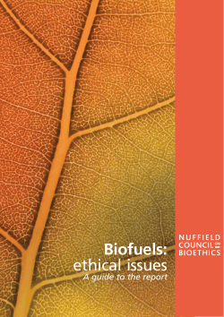 Biofuels: ethical issues