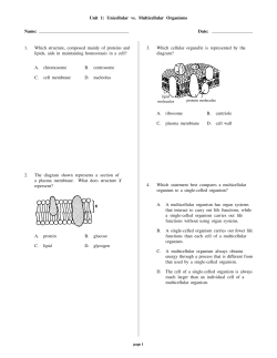 Unit 1: Unicellular vs. Multicellular Organisms Name: Date: 1. Which