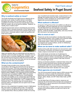 Seafood Safety in Puget Sound