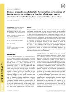 Biomass production and alcoholic fermentation performance of