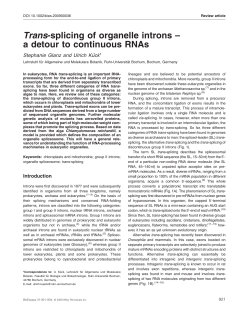 Trans-splicing of organelle introns