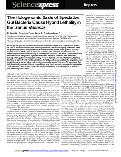 Gut Bacteria Cause Hybrid Lethality in the Genus Nasonia