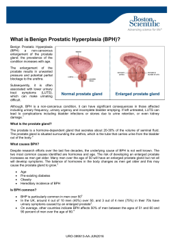Prostate and BPH - Backgrounder