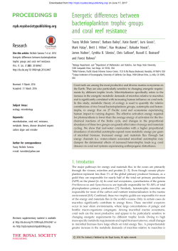 Energetic differences between bacterioplankton trophic groups and