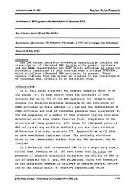 Involvement of DNA gyrase in the transcription of ribosomal RNA