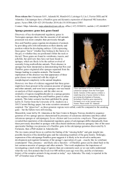 Sponge genomes: genes lost, genes found