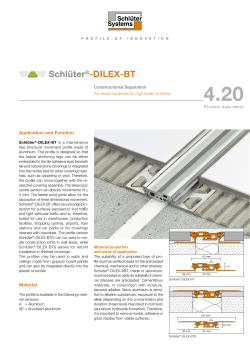 4.20 Schl&uuml;ter &reg; -DILEX-BT - Schl&uuml;ter