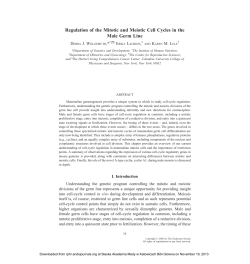 Regulation of the Mitotic and Meiotic Cell Cycles in the Male Germ