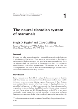 The neural circadian system of mammals