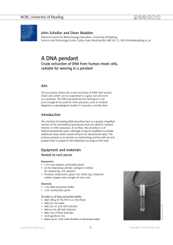A DNA pendant - EuroVolvox.org
