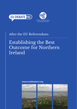 Establishing the Best Outcome for Northern Ireland