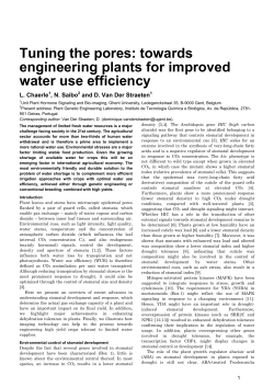Keeping the pores askew: engineering plants for
