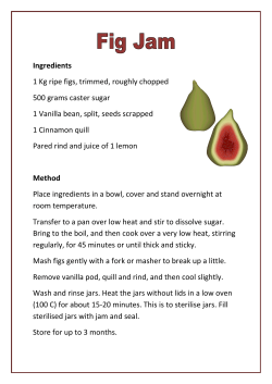 Ingredients 1 Kg ripe figs, trimmed, roughly chopped 500 grams