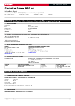 Cleaning Spray 500 ml