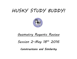 husky study buddy!