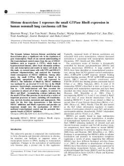 Histone deacetylase 1 represses the small GTPase