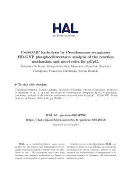 C-di-GMP hydrolysis by Pseudomonas aeruginosa HD