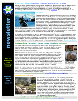 Sustainable Update&mdash;Environmental Center Intern Recounts