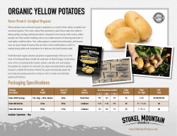 ORGANIC YELLOW POTATOES