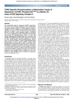 TORC-Specific Phosphorylation of Mammalian