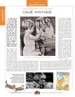 Chapter 3 MYSTIQUE - Collie Club of America