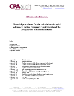 Financial procedures for the calculation of capital