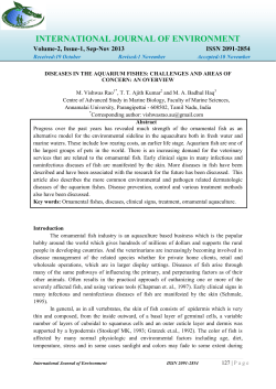 international journal of environment