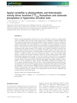 Spatial variability in photosynthetic and heterotrophic activity drives