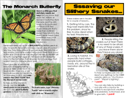 Sssaving our Slithery Ssnakes